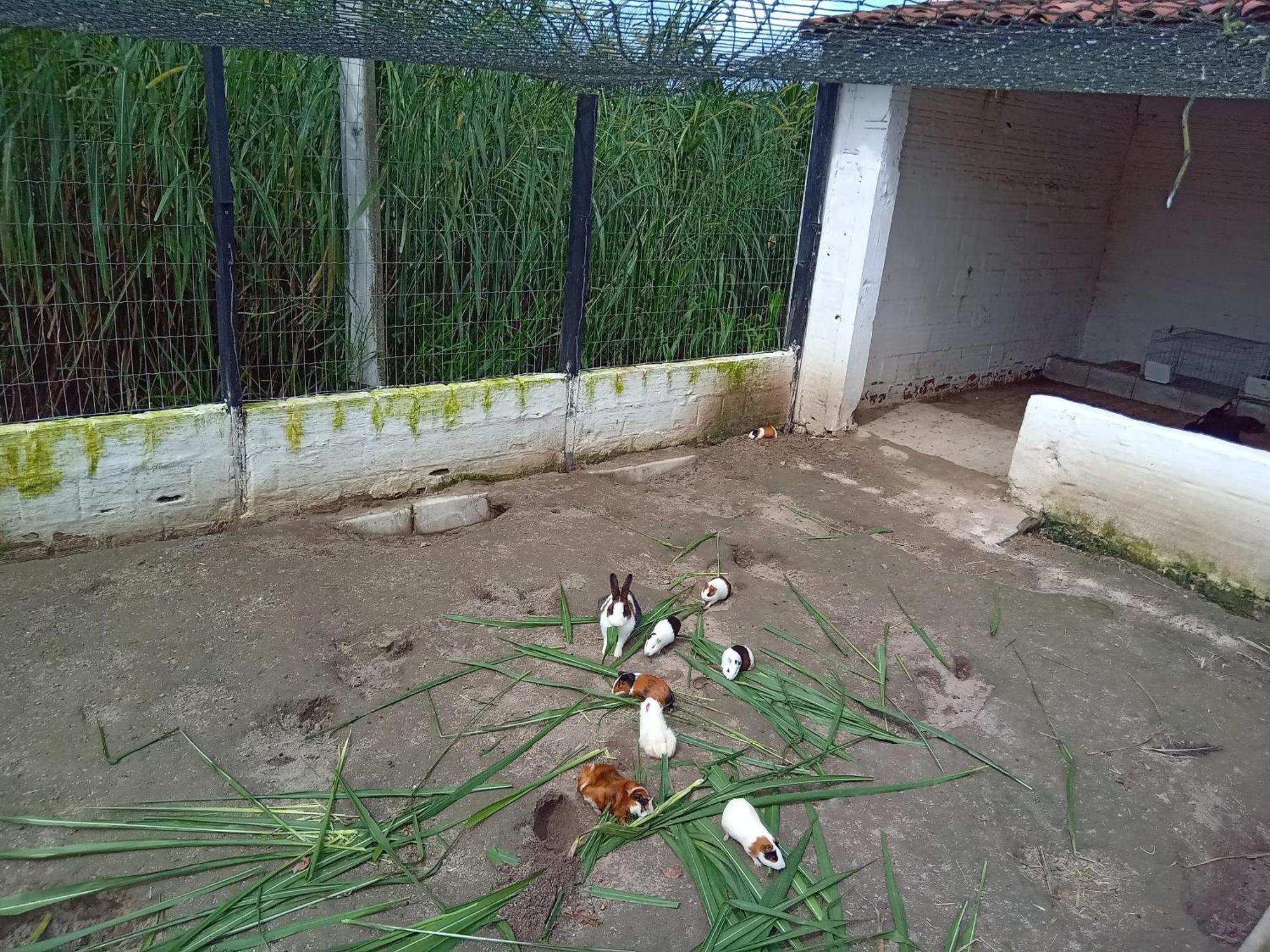 גרבאטה Flat 404 Villa Hipica מראה חיצוני תמונה
